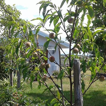 Stuga I Gamla-Koepstad Traslovslage 外观 照片